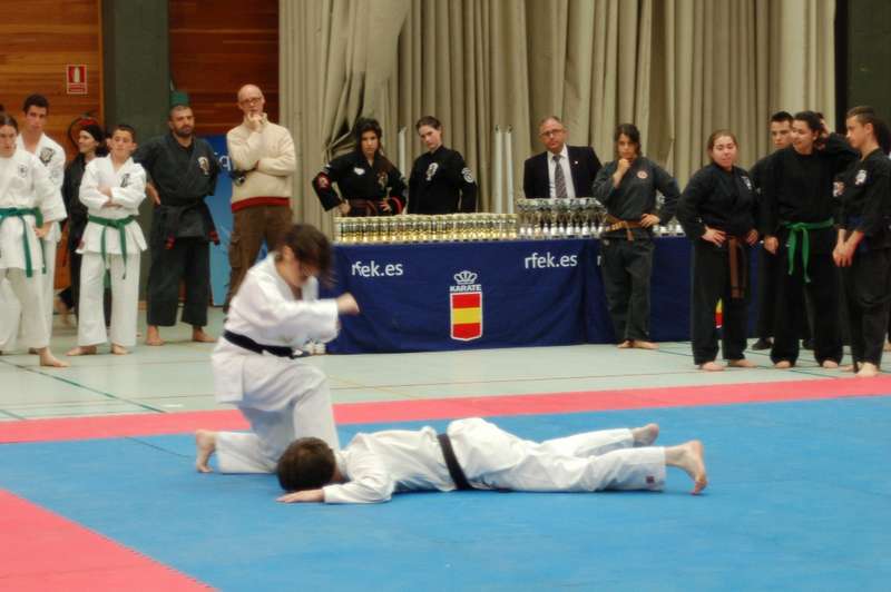 Tres Medallas en el Campeonato de España de Kenpo